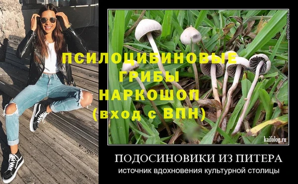 молекула духа Зеленодольск