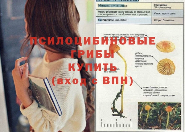 молекула духа Зеленодольск