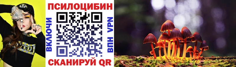 Купить где  Любим  Псилоцибиновые грибы прущие грибы 