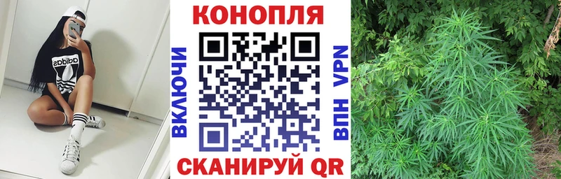 Купить закладки  Любим  МАРИХУАНА тримм 